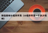 微信商城小程序開(kāi)發(fā)（小程序開(kāi)發(fā)一個(gè)多少錢(qián)?。? /></a>
		</div>
		<div   id=