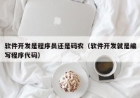 軟件開發(fā)是程序員還是碼農（軟件開發(fā)就是編寫程序代碼）